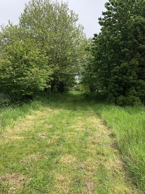 IMG_0963.jpeg