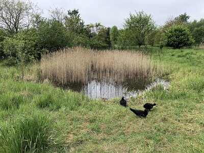 IMG_0949.jpeg
