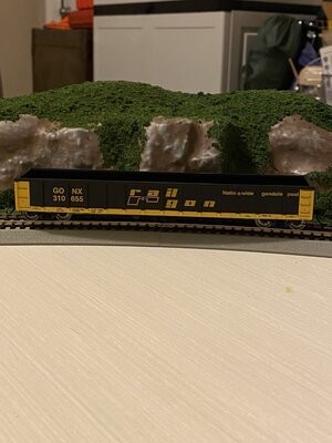 53FT Gondola Railgon 310655.jpg