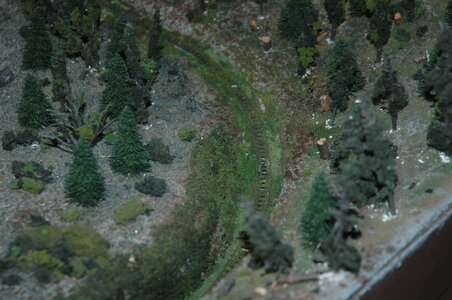 DSC_3358.JPG