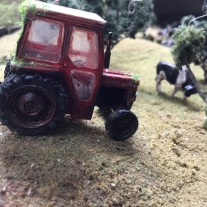 IMG_2087.jpeg