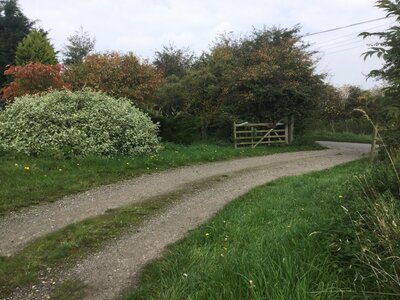 IMG_7266.jpeg