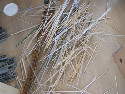 DSCN3609.JPG