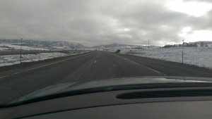 IMAG1118.jpg