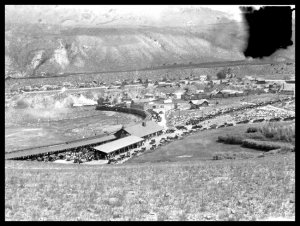 Gardiner 15.jpg