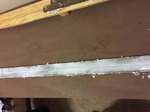 IMG_1531.jpg