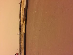IMG_1537.jpg