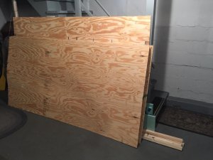 IMG_8180.jpg