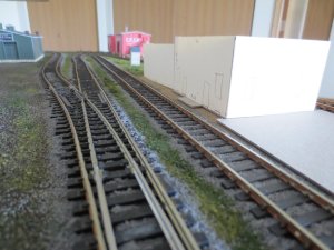 IMG_0983.jpg