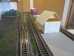 IMG_0989.jpg