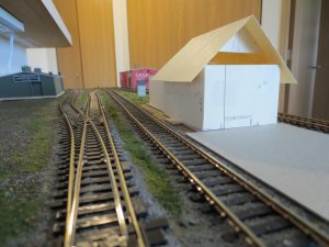 IMG_0991.jpg
