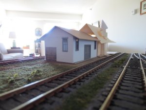 IMG_1007.jpg