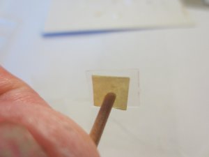 IMG_1062.jpg