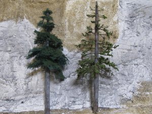 IMG_1111.jpg