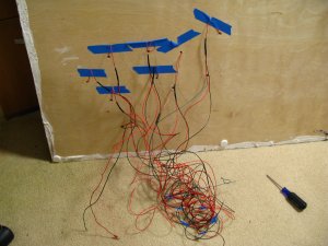 T-IMG_0117.JPG