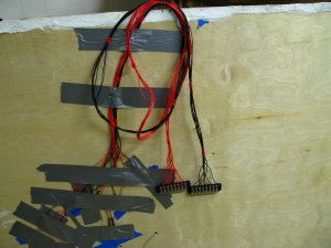 T-IMG_0118.JPG