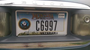 IMAG1179.jpg