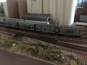 IMG_6862.jpg