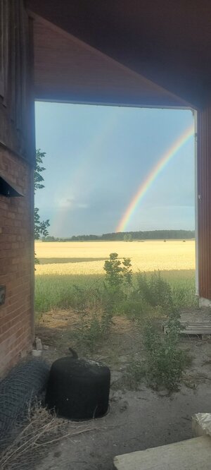 20230717_192221.jpg