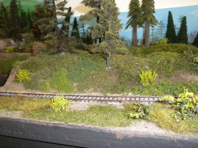 DSCN2422.JPG