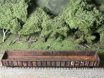 IMG_1184.jpeg