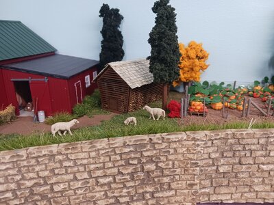 Amish farm pumpkin patch & corn bin.jpg