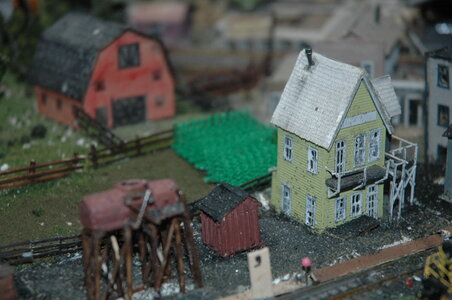 DSC_3370.JPG