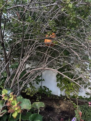 IMG_3546.jpeg IMG_3546.jpeg