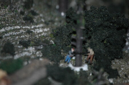DSC_3435.JPG