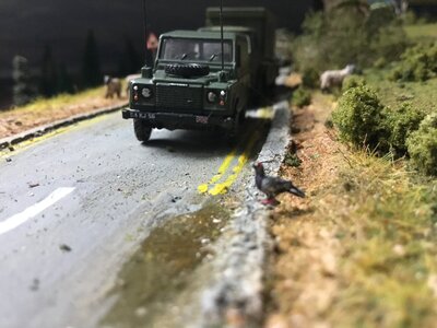IMG_4026.jpeg