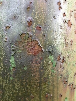 IMG_4180.jpeg