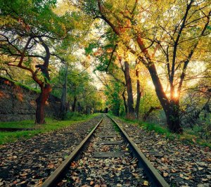 Autumn_Railway-wallpaper-10757004.jpg