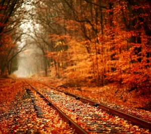 Autumn_Railway-wallpaper-11119289.jpg