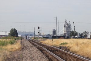 IMG_5120.jpg