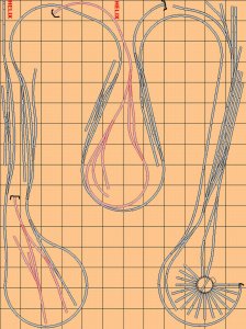 BELAND Tonapha, rotated view.jpg