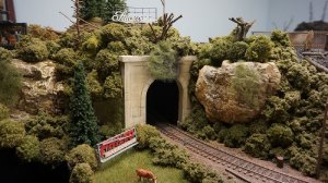 Saxeville Tunnel.JPG