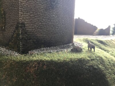 IMG_8954.jpeg