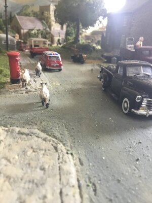 IMG_8476.jpeg