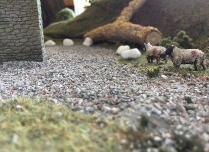 IMG_7545.jpeg