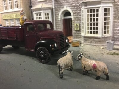 IMG_5297.jpeg