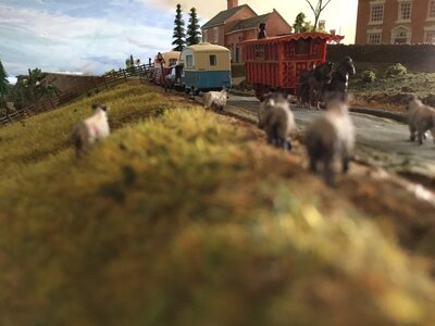 IMG_1569.jpeg