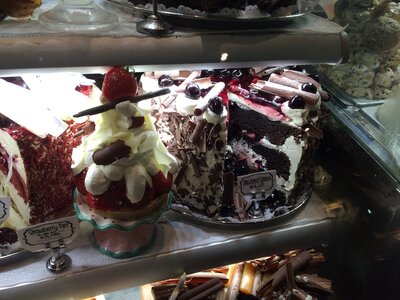 IMG_0257.jpeg