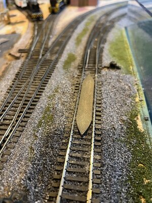 IMG_6844.jpeg