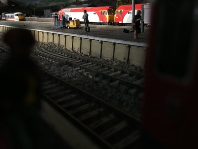 IMG_7520.jpeg