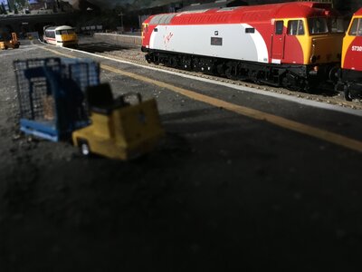 IMG_7521.jpeg