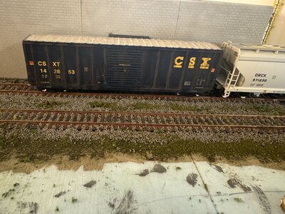 IMG_2503.jpeg