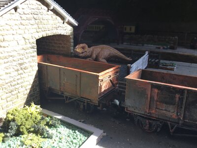 IMG_0753.jpeg