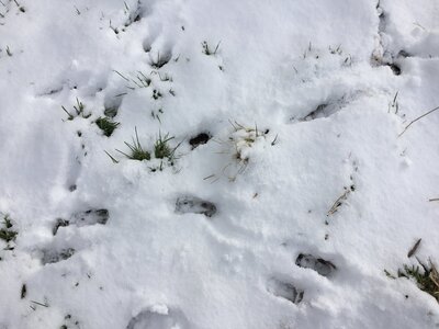 IMG_8059.jpeg
