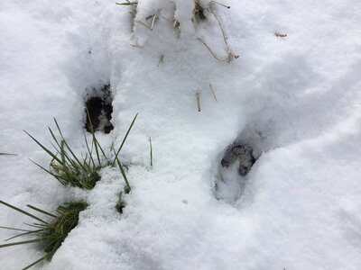 IMG_8060.jpeg
