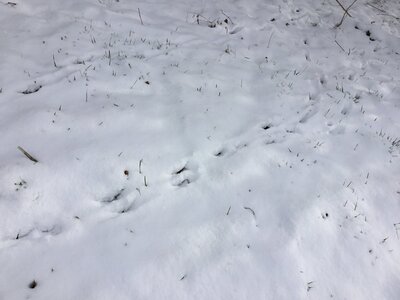 IMG_8050.jpeg